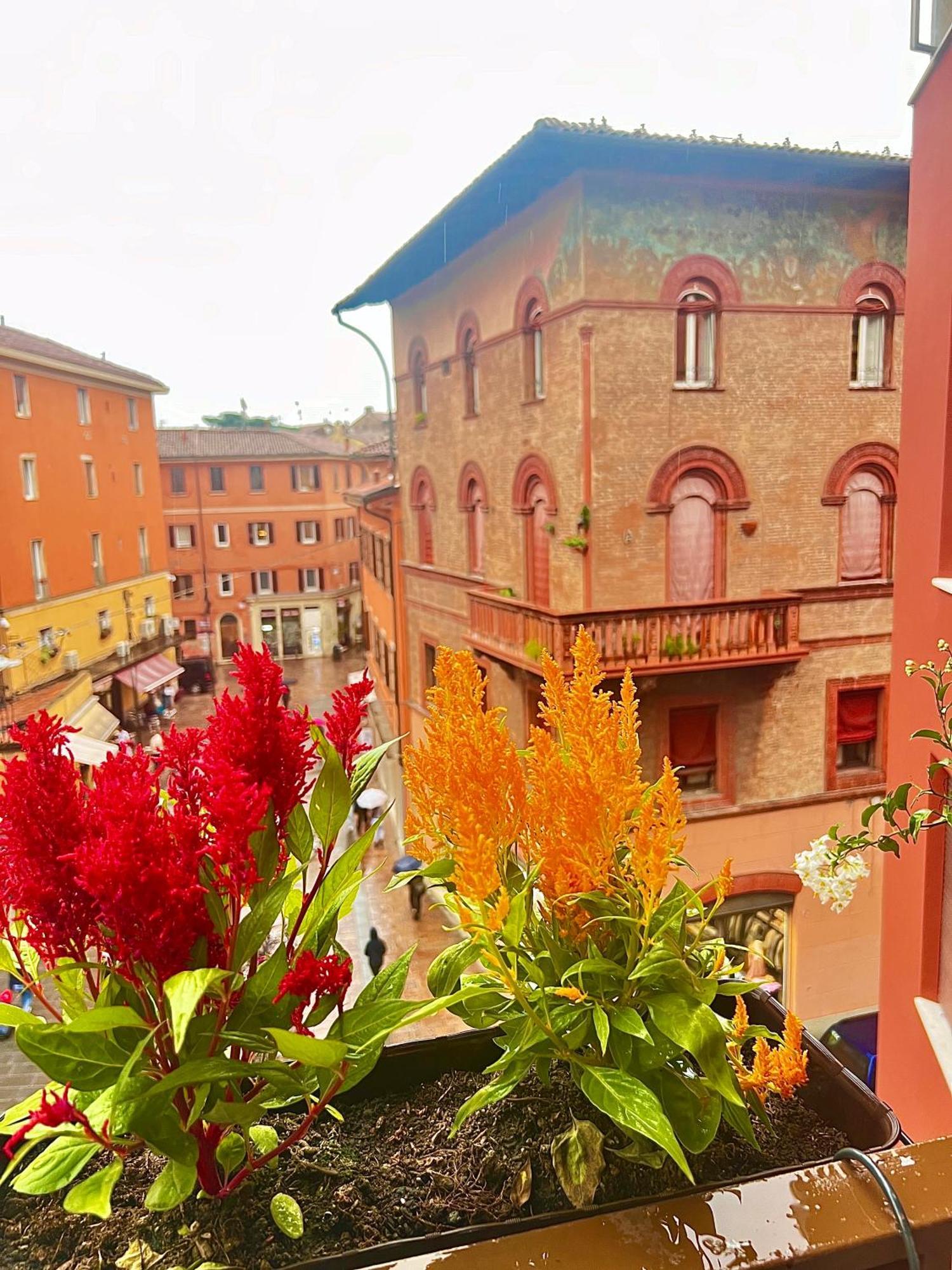 Bolognabyside -Righi — Photos 1